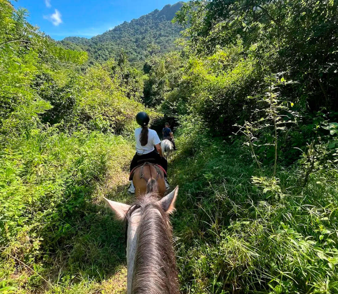 Horseback ride 3