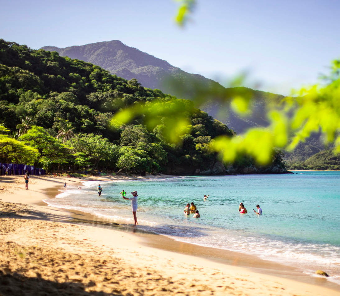 Panoramic view of Playa Cristal's white sand beach and transparent turquoise waters surrounded by lush jungle in Tayrona Park