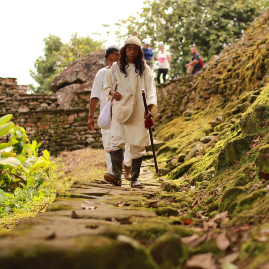 4-Day Lost City Trek Adventure - Teyuna Tours Hiking group ascending ancient stone steps through jungle to Ciudad Perdida archaeological site