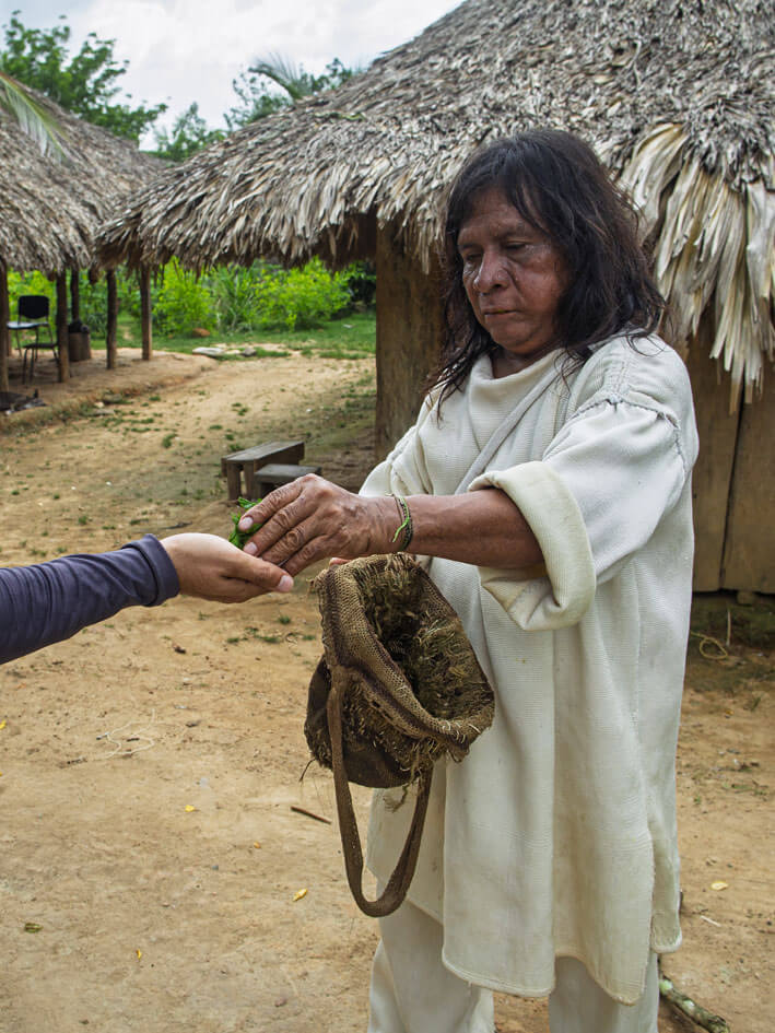 Mamo spiritual leader offering sacred coca leaf to tourist during welcome ceremony at Bunkuany Chivilongui