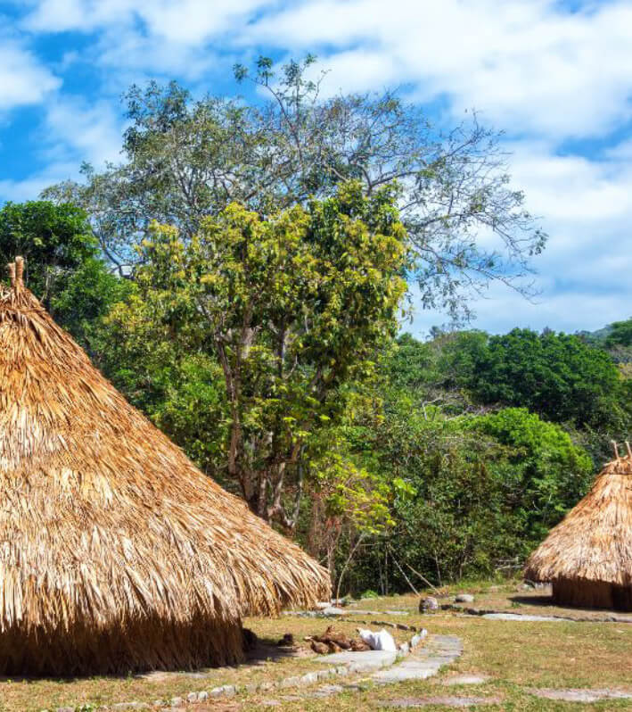 Two traditional Wiwa indigenous bohio houses in Gotsezhy village during one-day cultural tour, Sierra Nevada de Santa Marta