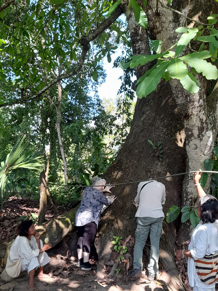 International tourists embracing sacred tree during spiritual ritual with Mulkwakungui indigenous community