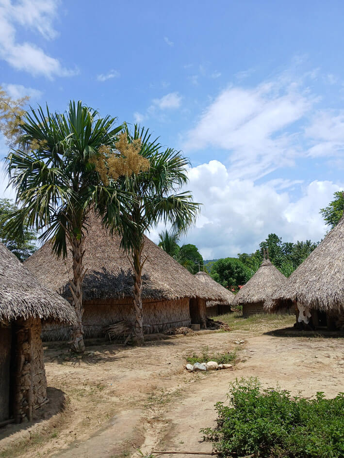 Traditional bohio houses in Mulkwakungui indigenous village showing community architecture Sierra Nevada