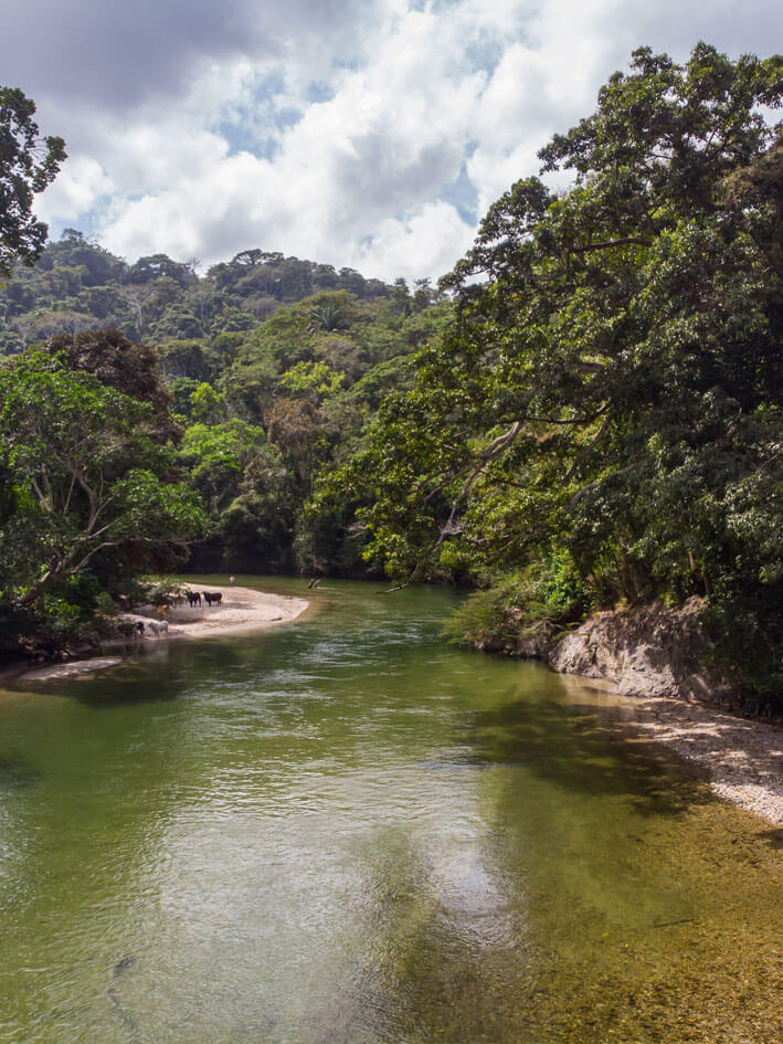Tourists enjoying tubbing activity on Río Palomino during Seyviaka indigenous community tour, Sierra Nevada de Santa Marta
